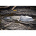 Нож складной Weknife High-Fin XL WE24010-3  