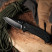Нож складной Sencut Hyrax S23097-1  